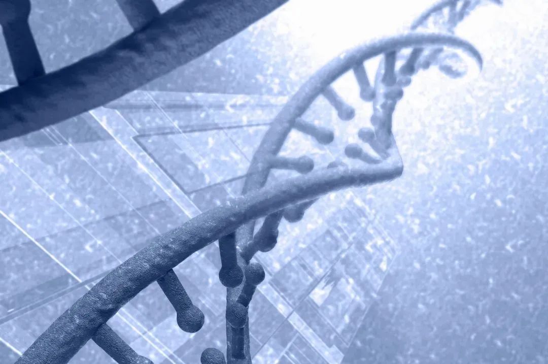 微信圖片_20220702160315.jpg 微信圖片_20220702160315.jpg