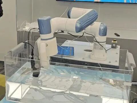 微信圖片_2026-01-13_151923_708.jpg 微信圖片_2026-01-13_151923_708.jpg